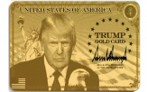 트럼프,미국,골드카드