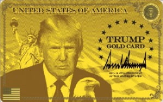 카드,미국,골드,기업