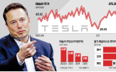 테슬라,전기차,로보택시,투자자,전망,주식,주가,국내,시장