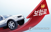 보험료,손해율,자동차,인상,내년,수준,인하,금융당국