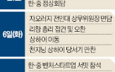 중국,실장,대통령,문제,주석,정상회담,논의,복원