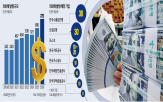외화채,발행,환율,규모,달러,외화,안정,정부