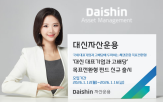 수익,국내,대신자산운용,상품,투자,출시,자산,펀드