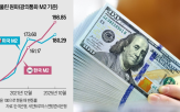 환율,수출,달러,미국,상승,한국,기업,증가,가격,하락