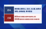 사업,김동선,부사장,지주사,인적분할,김동관,분할,한화