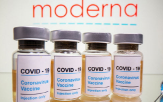 백신,모더,코로나19,주가,올해,회사,매출,개발,현재,달러