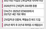 감독,지역,근로감독,권한,근로감독관,사업장,경우,중앙정부
