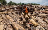 산림,기업,수마트라섬,허가,피해,대홍수