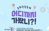 문화관광축제,선정,글로벌축제,지역