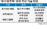 기술,용적률,재건축,콘크리트,주택,수명,재개발