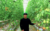 농업,대표,온실,토마토,청년,소득,스마트팜,귀농,지역,관리