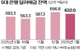 달러,예금,환율,잔액