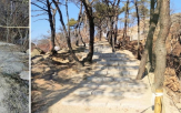 정비,산불,인왕산,등산로,구간,복구