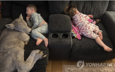 송아지,어미,아이