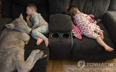 송아지,어미,아이