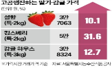 가격,딸기,대비,전년