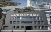 광안리,부산,매장,블루엘리펀트