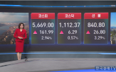 코스피,투톱