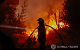 산불,발생,위험