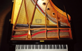 피아노,스타인웨이,악기,피아니스트,소리,건반,세계,연주자,브랜드,가장
