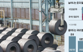 관세,가격,부과,한국,열연강판,국내,수출,반덤핑,일본,중국