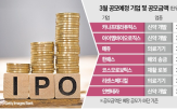 기업,상장,시장,공모,청약,심사,결과,공모주