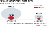 임대사업자,대출,규제,금융당국,주거,상업