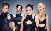 블랙핑크,장르,구성,음악적,음악,앨범,시장