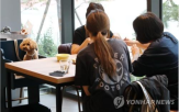 반려동물,출입,음식점,기준,영업,동반