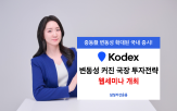 투자자,국내,개인,투자,코스피,이란,변동성