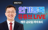 안인기,시장,주도주,흐름,인기종목,투자자