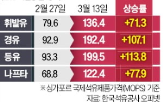 가격,최고가격,손실,정부,석유제품,국제