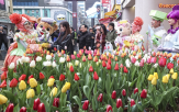 에버랜드,튤립