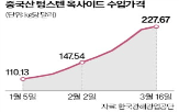 텅스텐,반도체,전쟁,이상,가격,소재,공정,원료