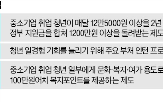 청년,정부,사업,지원,부활,고용,추경,중복,제도