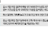청년,정부,사업,부활,추경,지원,중복,고용