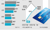 개인,신판,신한카드,삼성카드,결제,포인트,카드사,경쟁