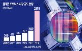 반도체,포토닉스,실리콘,삼성전자,기술,양산,확보
