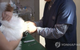 주사기,동물병원,진료,물량,우려,재고,인상,정부,수급