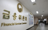 규제,샌드박스,금융위,지난해,승인,부처
