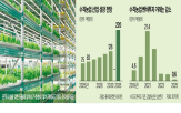 수직농업,수직농장,식량,실내,공간,도심,재배,스타트업,채소