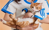 반려동물,관리,시장,의류,미용,서비스,패션,증가,문화,스타일