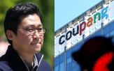 지정,대비,이후,성장,전년,매출,의장,영향,적자