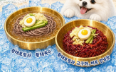 이마트,반려동물,몰리스,반려견,전용
