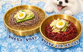 이마트,반려견,간식,반려동물
