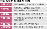 주주,금감원,증자,요구,유상증자,기업,규모,한화솔루션