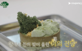 콘텐츠,확대,경쟁,라이브,플랫폼,공연,팬덤,커머스