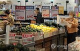 물가,발표,한국,흑자