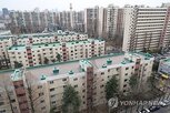 매물,시장,시행,가격,거주,중과,아파트,공개,양도세