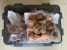 식약처,유통,집단급식소,식품안심업소